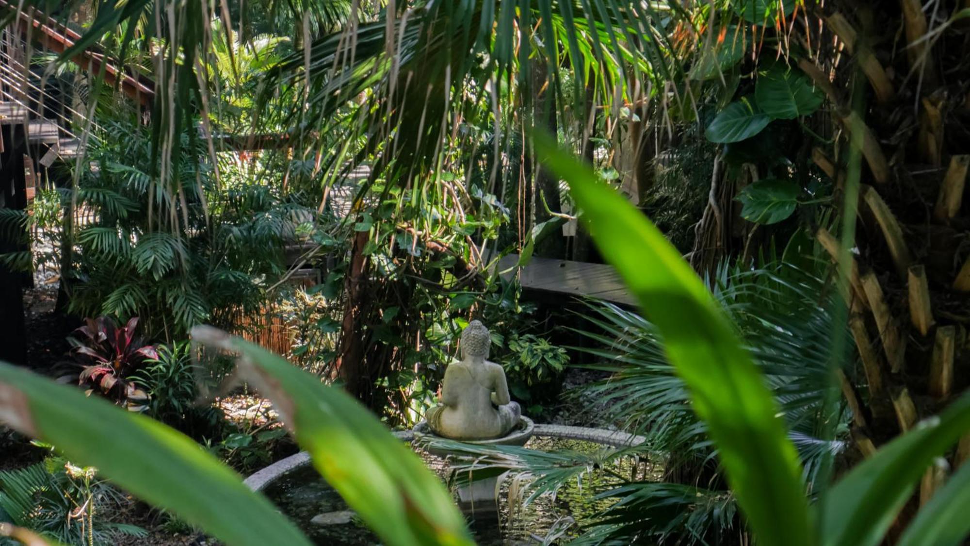 מלון ביירון ביי Shambhala @ Byron מראה חיצוני תמונה
