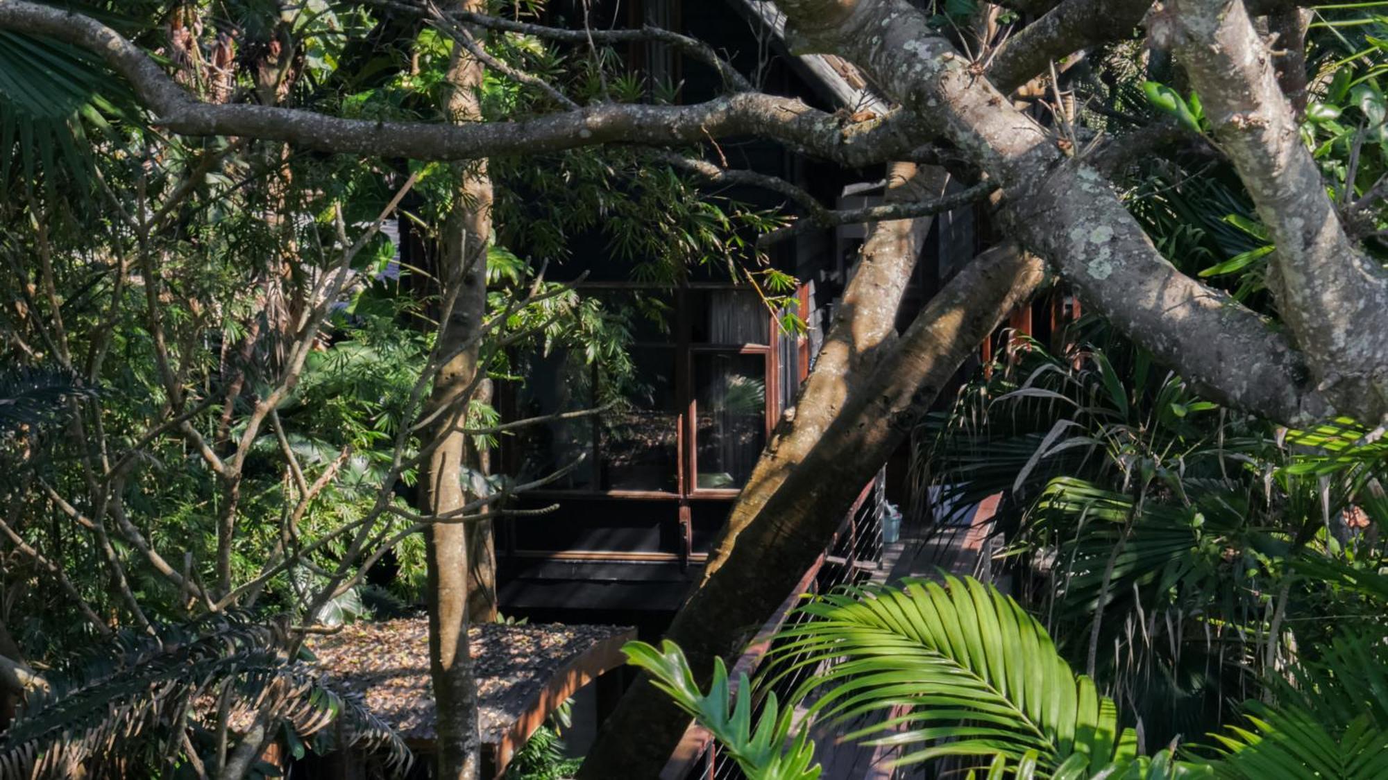 מלון ביירון ביי Shambhala @ Byron מראה חיצוני תמונה